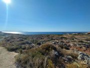 Stavros Kreta, Stavros: Küstengrundstücke mit Baugenehmigung und Meerblick zu verkaufen Grundstück kaufen